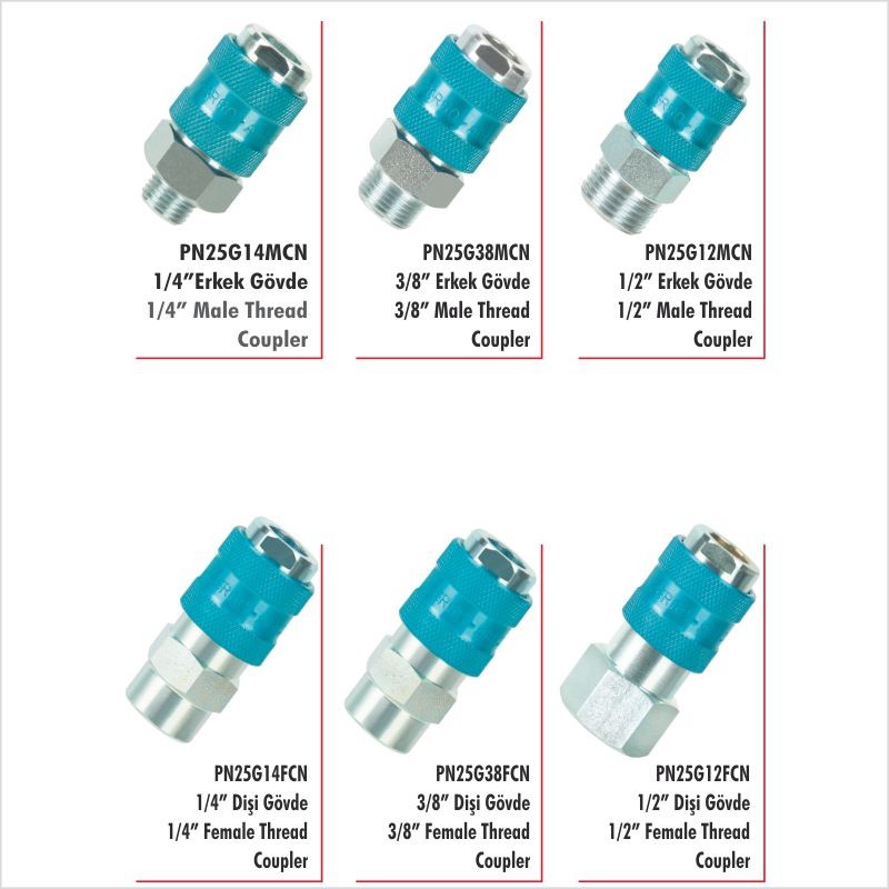 PN25G14MCN 1/4” BSP Erkek Gövde Pnömatik Otomatik Rekor 4 - 40 BAR