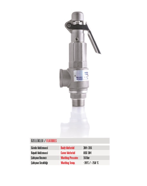 Ø100 0-500 °C Termometre Daldırma Boyu 10 cm Arkadan Bağlantılı G 1/2