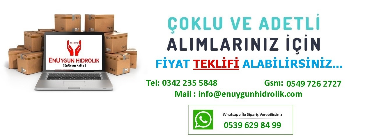 50x400 PNY Serisi Alüminyum Profil Gövdeli Yastıklı Pnömatik Silindir ( PEMAKS )