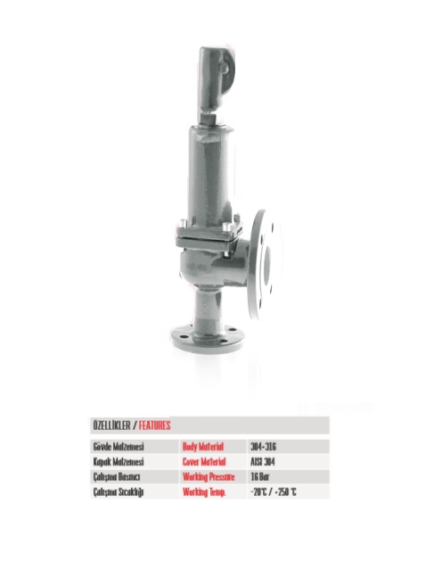 DN 20 Flanşlı Tam Kalkışlı Paslanmaz Emniyet Ventili