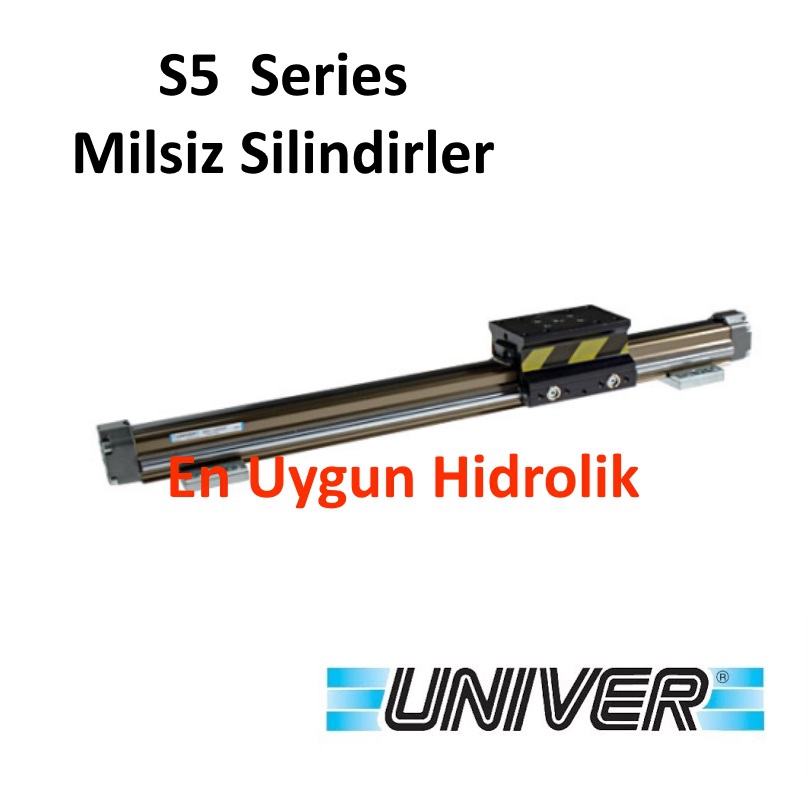 32X200 Üniver Rodless S5 Serisi Yataklı Milsiz Silindir Yastıklı